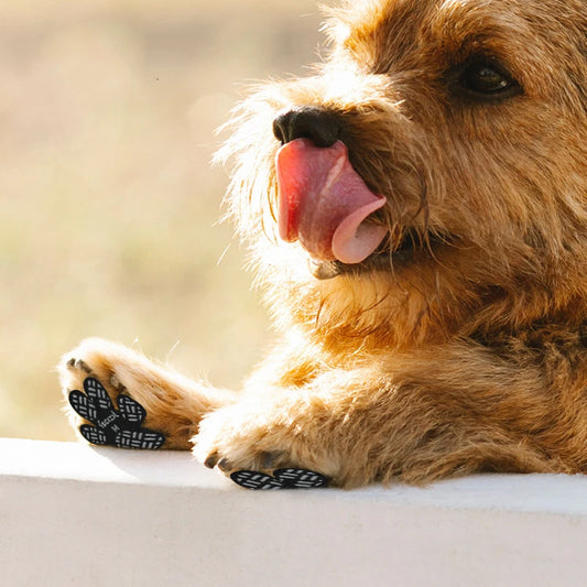 Anti-Slip Paw Grips