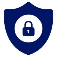 100% Secure Payment